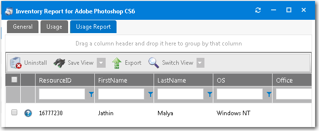 Inventory Item View / Usage Report Tab